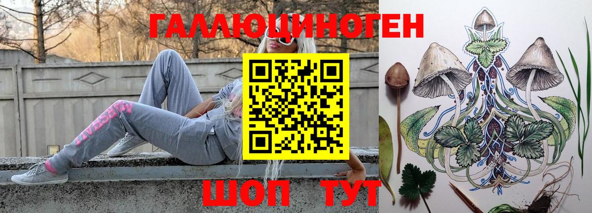 Галлюциногенные грибы Psilocybe  Вход с VPN  Ржев 