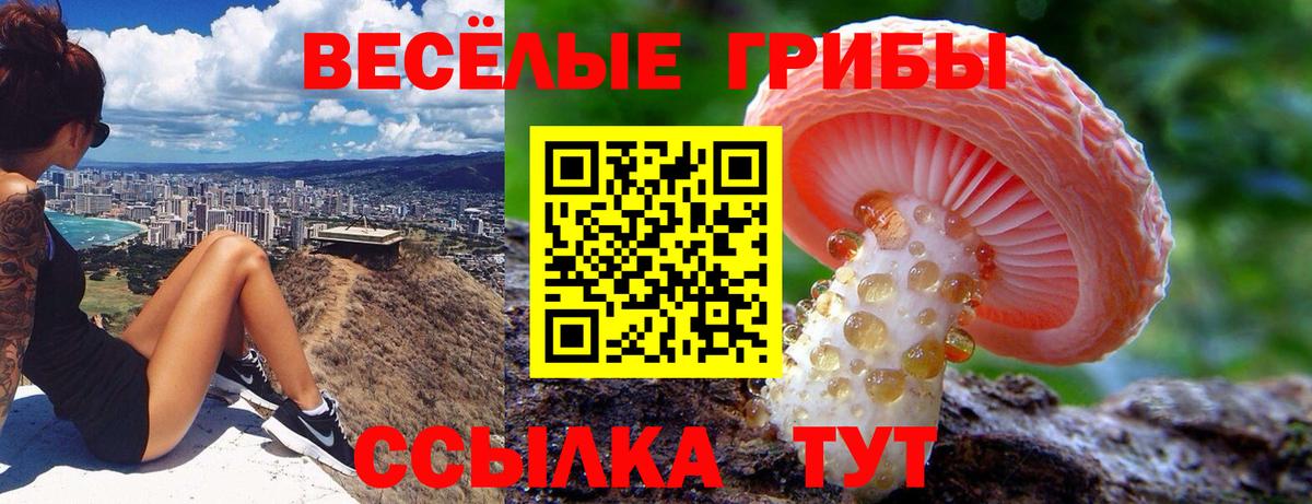 Галлюциногенные грибы прущие грибы Ржев